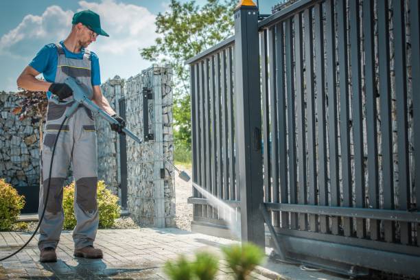 Best Graffiti Removal  in Palm Shores, FL
