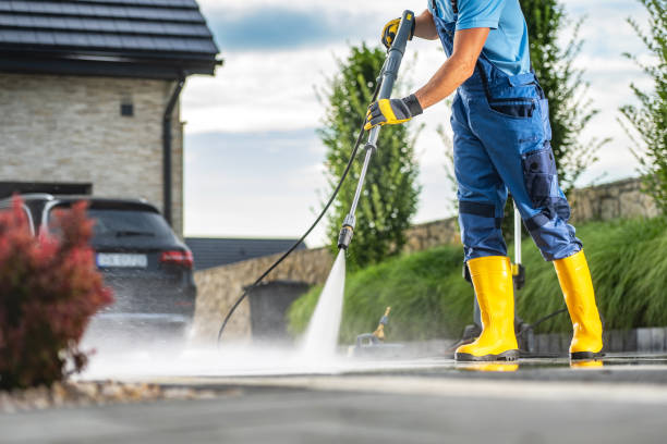 Best Driveway Pressure Washing  in Palm Shores, FL